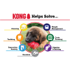KONG Puppy – צעצוע לעיסה רך ומרגיע לגורים - Image 2