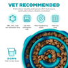 פאן פידר Outward Hound ספירלה טורקיז – קערת האכלה איטית – Fun Feeder Slo Bowl - Image 4