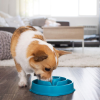 פאן פידר Outward Hound ספירלה טורקיז – קערת האכלה איטית – Fun Feeder Slo Bowl - Image 7