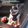 סט בטיחות לרכב 2 רצועות בטיחות + קערה מתקפלת EARTHY PAWZ - Image 6