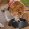 צלחת שקופה להאכלה איטית Fiboo slow feeder - Image 3